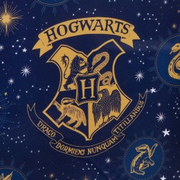 HARRY POTTER NAVY LUNCH BAG... 2