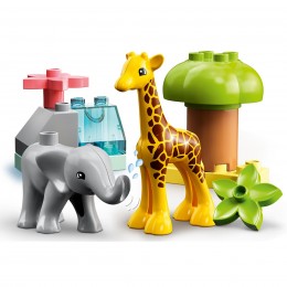 FAUNA SALVAJE DE ÁFRICA... 2