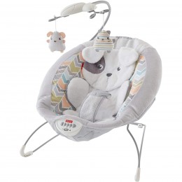 Fisher-Price Asiento para el suelo con bandeja, HBD68