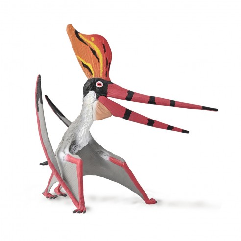 PTERANODON STERNBERGI WITH MOVABLE...