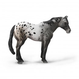 APPALOOSA BLUE ROAN -88947...