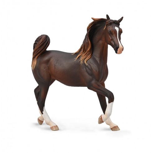 ARABIAN MARE LIVER CHESTNUT -88955...