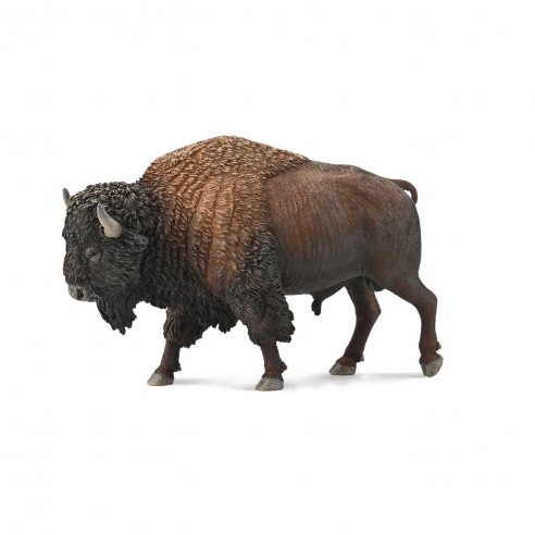 BISON AMERICANO - XL - 88968 COLLECTA