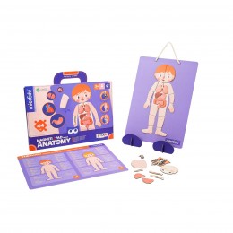 ANATOMY MAGNETIC CASE...