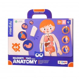 MALETÍN MAGNÉTICO ANATOMÍA... 2