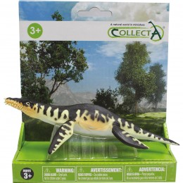 LIOPLEURODON -L- 89347 ON...