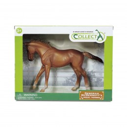 1: 12 THOROUGHBRED MARE ...