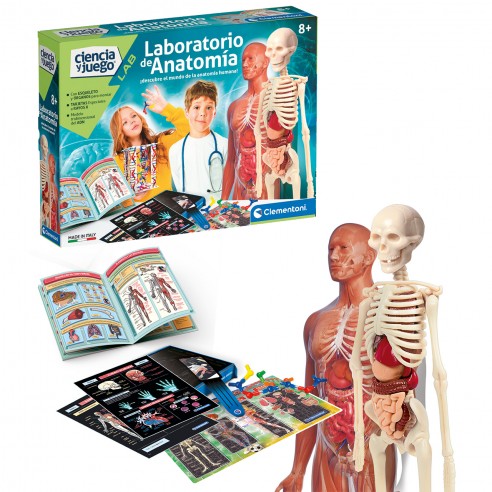 ANATOMY LABORATORY 55485 CLEMENTONI