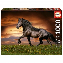 1000 TROTTING HORSE PUZZLE...