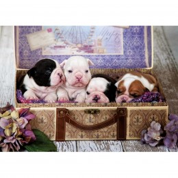 PUZZLE 500 PUPPIES 19007 EDUCA 2