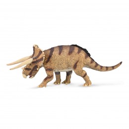TRICERATOPS HORRIDUS...