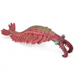 ANOMALOCARIS - L - 88977 -...