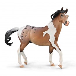 MUSTANG STALLION BAY...