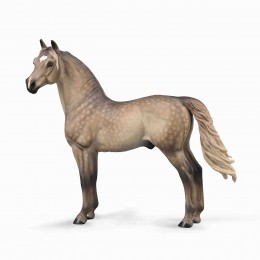 SEMENTAL MORGAN GRIS GRULLA...