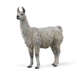 LLAMA-88991 -COLLECTA