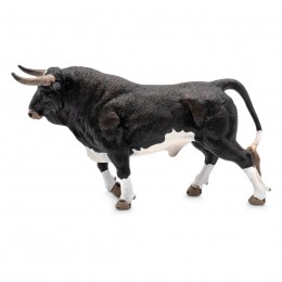 BULL BRAVO CALCETERO TROTTING