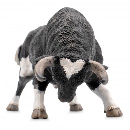 SPANISH BULL - MARCHING... 2
