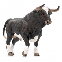 BULL BRAVO CALCETERO TROTTING 2