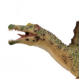 SPINOSAURUS CON MANDIBULA... 2
