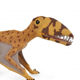 DIMORPHODON CON MANDIBULA... 2