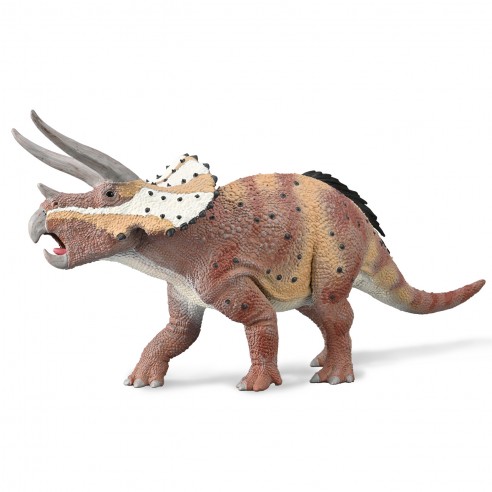 TRICERATOPS HORRIDUS CON MANDIBULA...