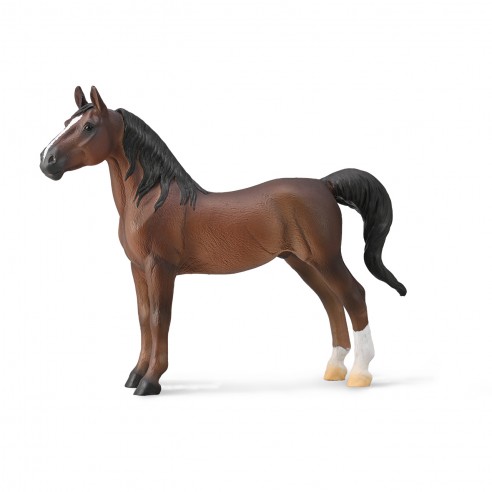 AMERICAN SADDLEBRED STALLION LIVER...