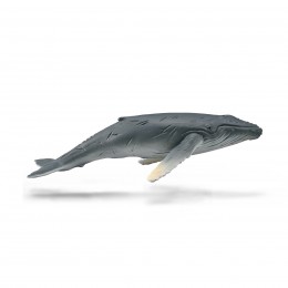 CRÍA DE BALLENA JOROBADA -...