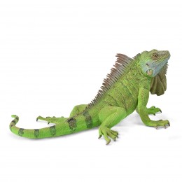 IGUANA - XL - 88965 - COLLECTA