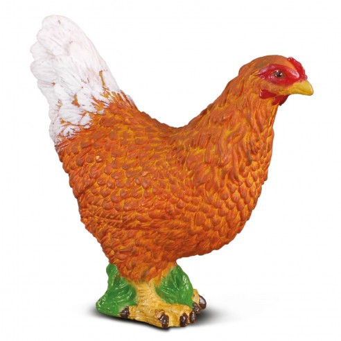 HENS-88005 - COLLECTA