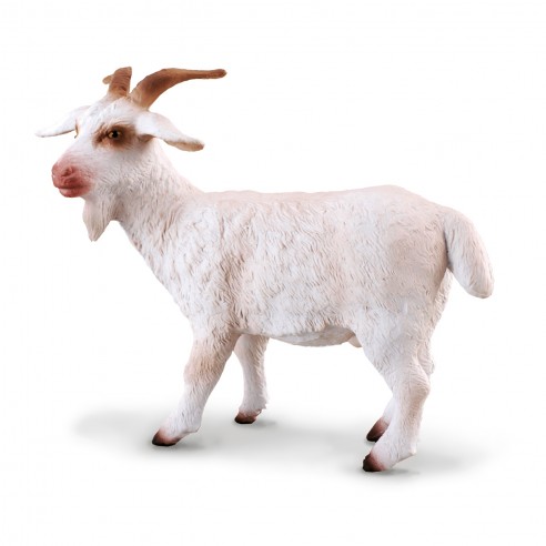 BILLY GOAT M-88212 - COLLECTA