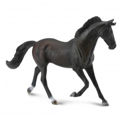 THOROUGHBRED MARE...