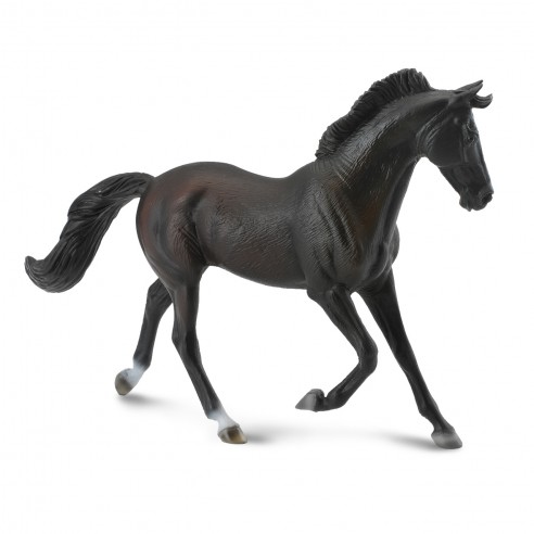 THOROUGHBRED MARE BLACKXL-88478 -...