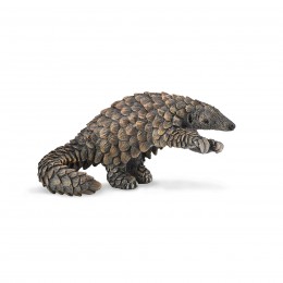 PANGOLINL-88995 - COLLECTA