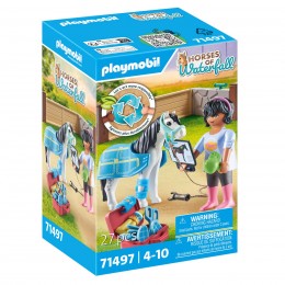 HORSE THERAPIST WATERFALL...