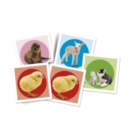MEMO POCKET BABY ANIMALES... 2
