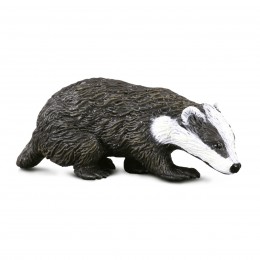 TEJÓN EURASIÁTICO - S -...