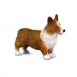 PERRITO CORGI GALÉS - M -...