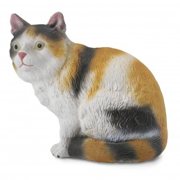 GATO DOMÉSTICO DE 3 COLORES...
