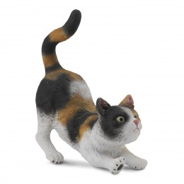 GATO DOMÉSTICO DE 3 COLORES...