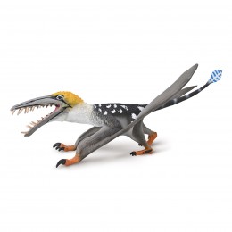 DEARC SGIATHANACH CON...