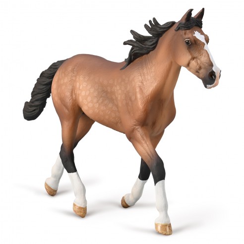 SEMENTAL PACER STALLION BAY - XL -...