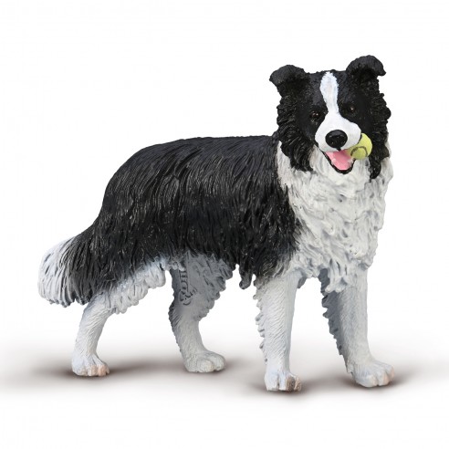 BORDER COLLIE - L - 80012 - COLLECTA