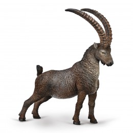 IBEX -L -COLLECT