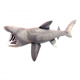 BASKING SHARK STUFFED...
