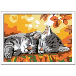 CREART SERIE E CLASSIC... 2