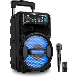 PORTABLE LOUDSPEAKER... 2