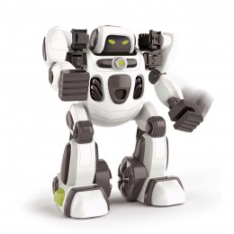 AIRO ROBOT WITH ARTIFICIAL... 2