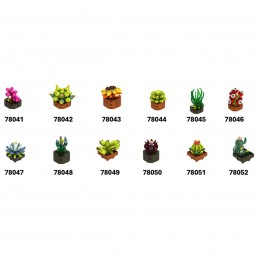 SURTIDO PLANTAS EXÓTICAS... 2