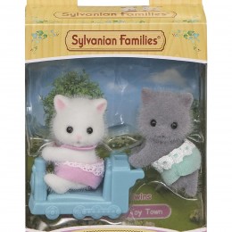 GEMELOS GATO PERSA 5457... 2