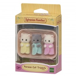 TRIPLETS PERSIAN CAT 5458... 2